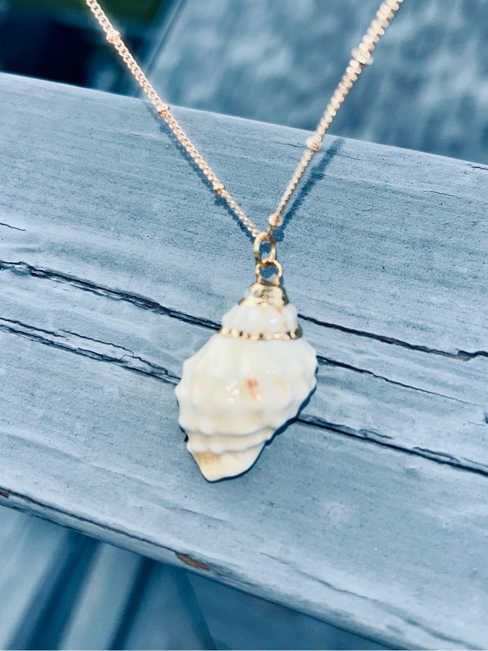 Gold Chain Necklace with White Shell Pendant Gold Accented